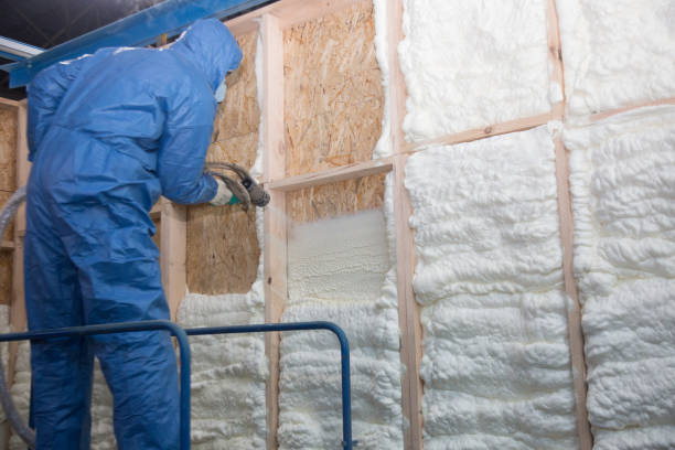 Best Eco-Friendly or Green Insulation Solutions  in USA